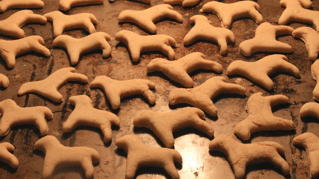 Frisch gebackene Hundekekse in Hundeform auf dem Backblech
