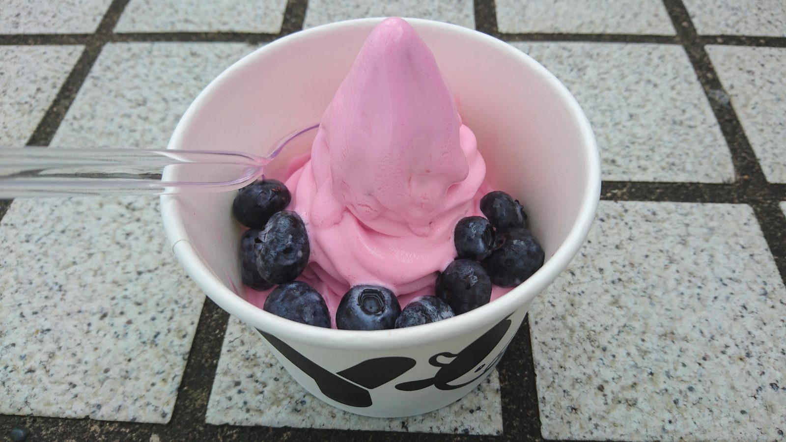 Frozen Joghurt mit Blaubeeren in einem Becher