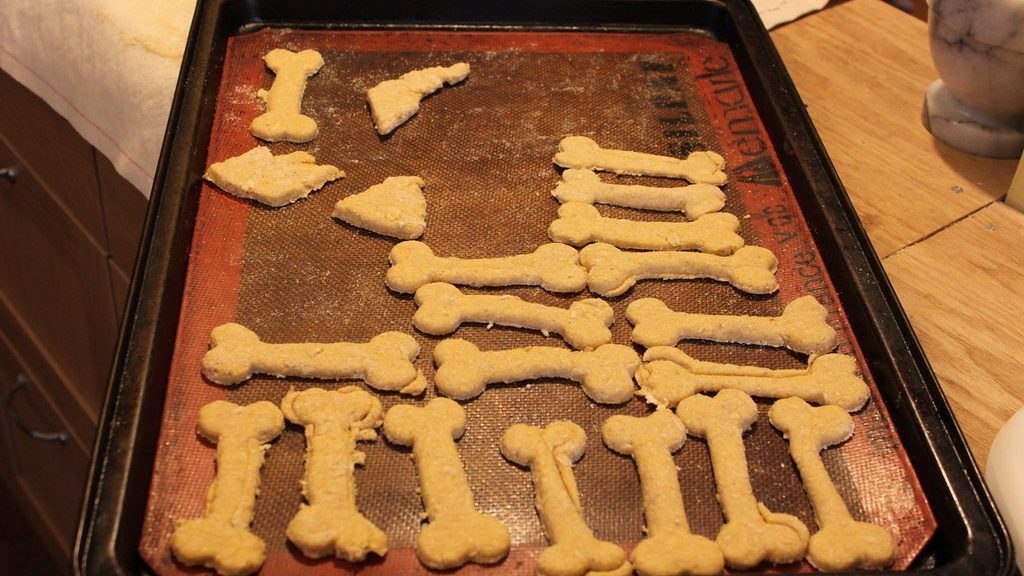 Knochenförmige Hundekekse auf einem Backblech